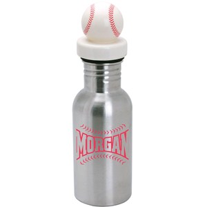 NicheBottle™ Stainless Steel Bottle with Baseball Lid - 17 oz