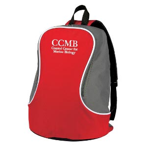 Bi Colored Backpack