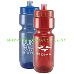 22 oz. Translucent Water Bottle with Push-Pull Lid