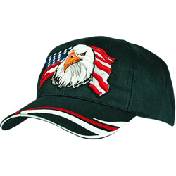 Heavy Sports Twill Hat with Eagle USA Design