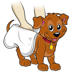 Chammyz Small Doggy Spaw Towel